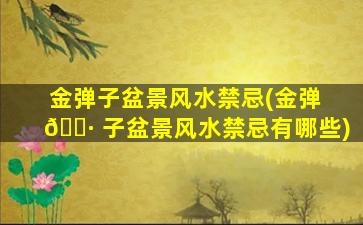 金弹子盆景风水禁忌(金弹 🕷 子盆景风水禁忌有哪些)